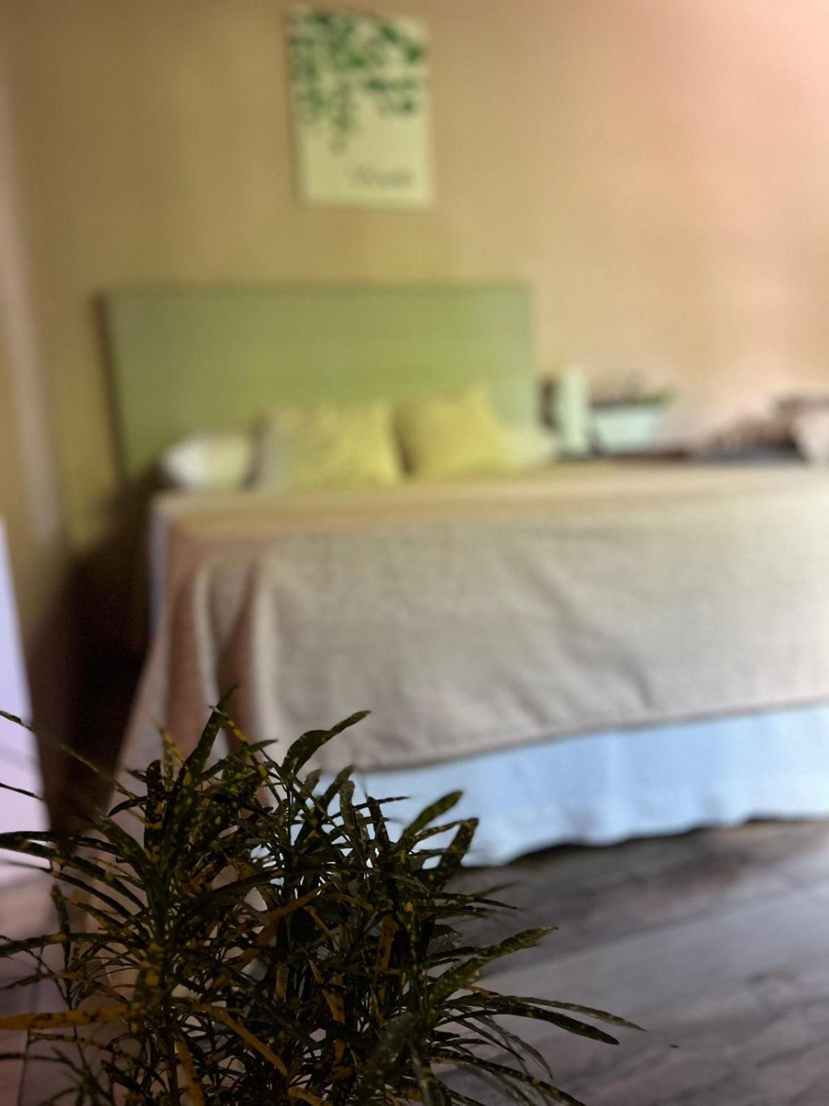 Appartement La Selva Monoambientes à Puerto Iguazú Extérieur photo