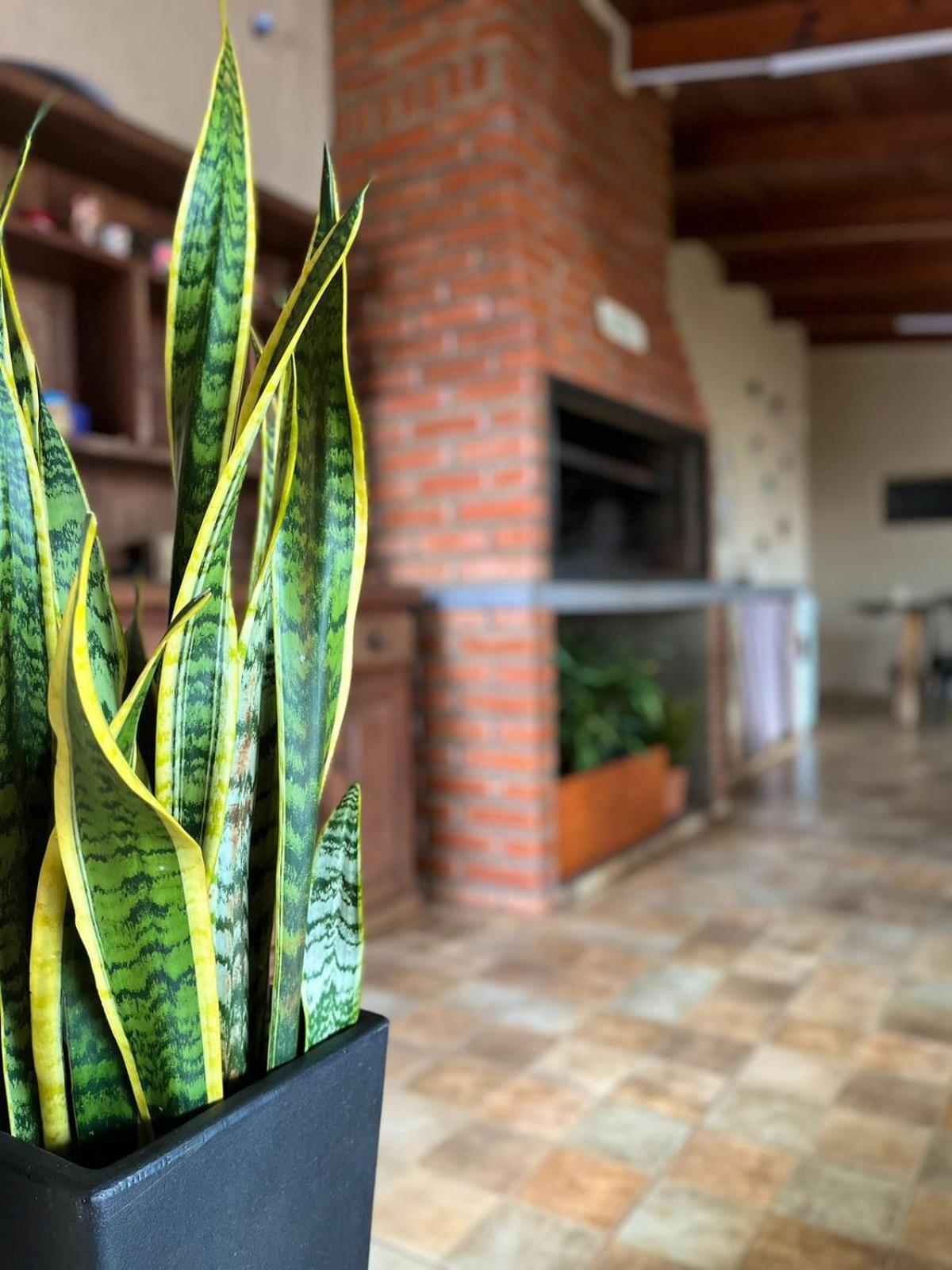 Appartement La Selva Monoambientes à Puerto Iguazú Extérieur photo